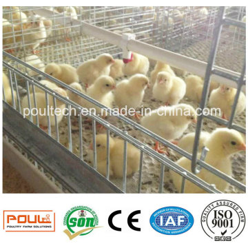 Layer Broiler Pullet Geflügel Farm Cage Ausrüstung